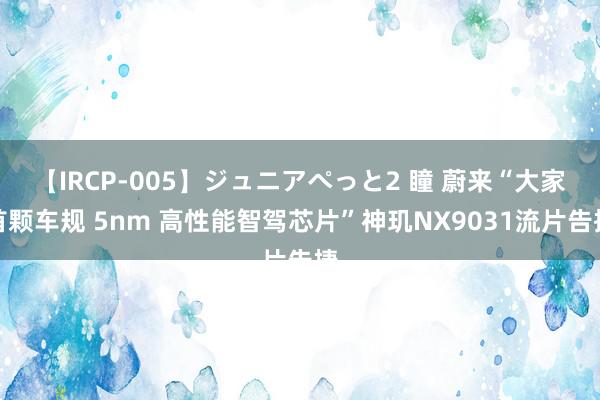 【IRCP-005】ジュニアぺっと2 瞳 蔚来“大家首颗车规 5nm 高性能智驾芯片”神玑NX9031流片告捷