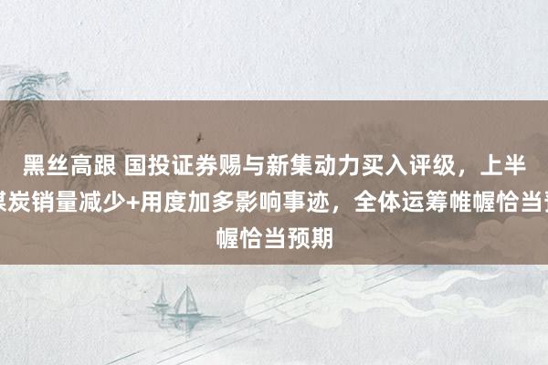 黑丝高跟 国投证券赐与新集动力买入评级，上半年煤炭销量减少+用度加多影响事迹，全体运筹帷幄恰当预期