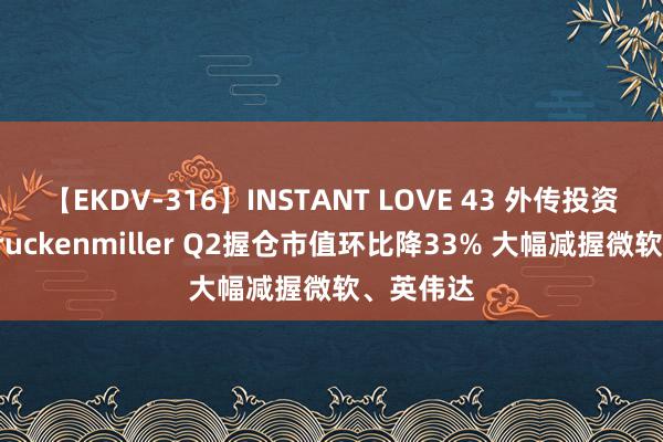 【EKDV-316】INSTANT LOVE 43 外传投资东谈主Druckenmiller Q2握仓市值环比降33% 大幅减握微软、英伟达