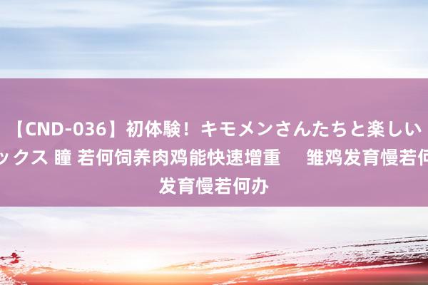 【CND-036】初体験！キモメンさんたちと楽しいセックス 瞳 若何饲养肉鸡能快速增重     雏鸡发育慢若何办