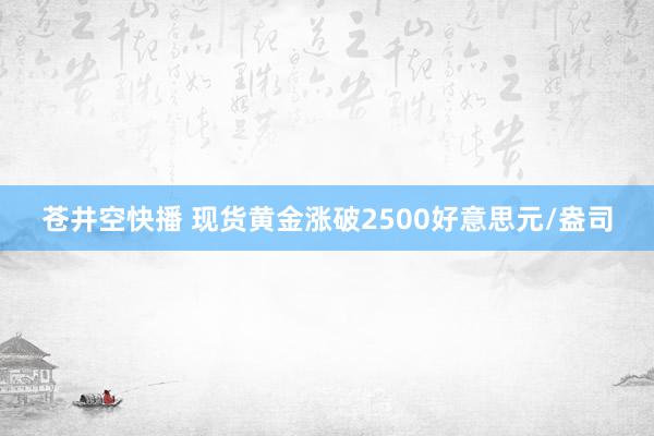 苍井空快播 现货黄金涨破2500好意思元/盎司