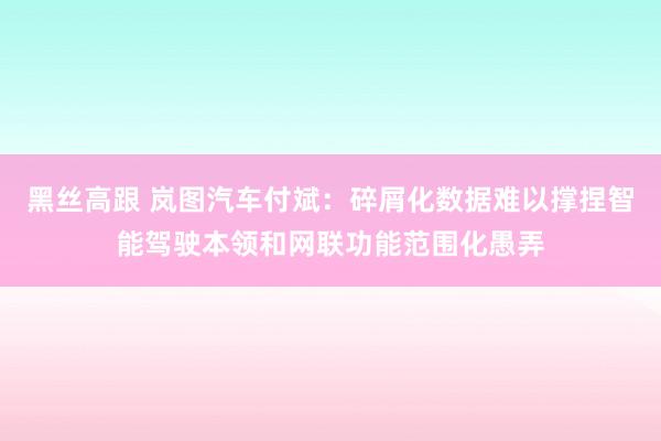 黑丝高跟 岚图汽车付斌：碎屑化数据难以撑捏智能驾驶本领和网联功能范围化愚弄