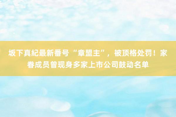 坂下真紀最新番号 “章盟主”，被顶格处罚！家眷成员曾现身多家上市公司鼓动名单