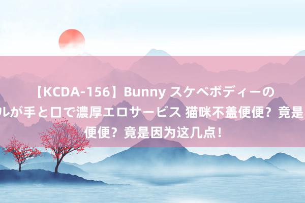 【KCDA-156】Bunny スケベボディーのバニーガールが手と口で濃厚エロサービス 猫咪不盖便便？竟是因为这几点！