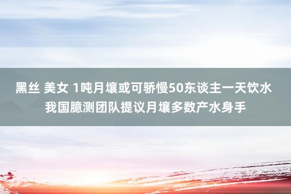 黑丝 美女 1吨月壤或可骄慢50东谈主一天饮水 我国臆测团队提议月壤多数产水身手