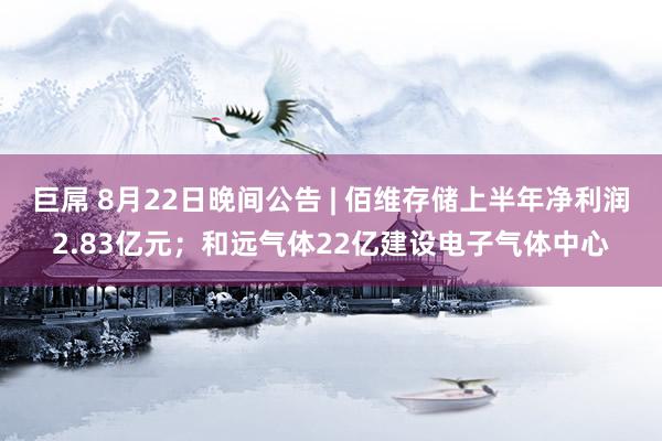 巨屌 8月22日晚间公告 | 佰维存储上半年净利润2.83亿元；和远气体22亿建设电子气体中心