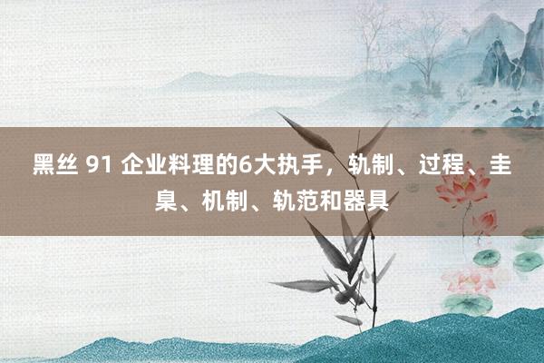 黑丝 91 企业料理的6大执手，轨制、过程、圭臬、机制、轨范和器具