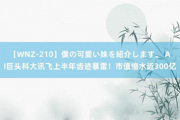 【WNZ-210】僕の可愛い妹を紹介します。 AI巨头科大讯飞上半年齿迹暴雷！市值缩水近300亿