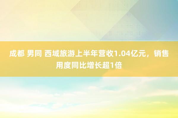 成都 男同 西域旅游上半年营收1.04亿元，销售用度同比增长超1倍