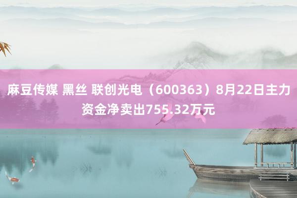 麻豆传媒 黑丝 联创光电（600363）8月22日主力资金净卖出755.32万元