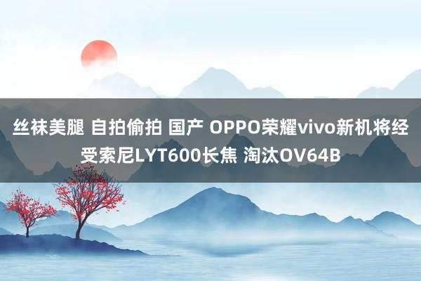 丝袜美腿 自拍偷拍 国产 OPPO荣耀vivo新机将经受索尼LYT600长焦 淘汰OV64B