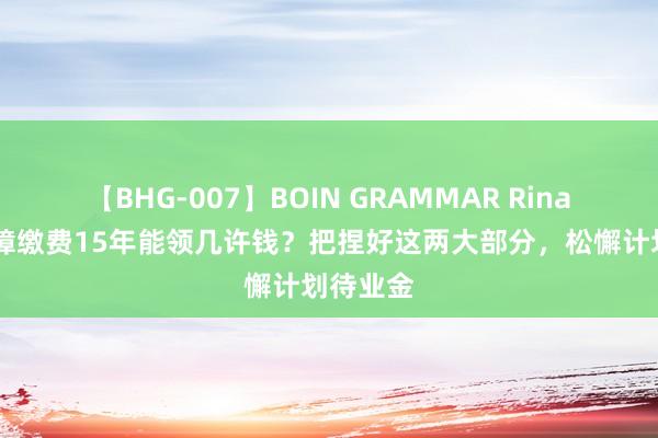 【BHG-007】BOIN GRAMMAR Rina 养老保障缴费15年能领几许钱？把捏好这两大部分，松懈计划待业金