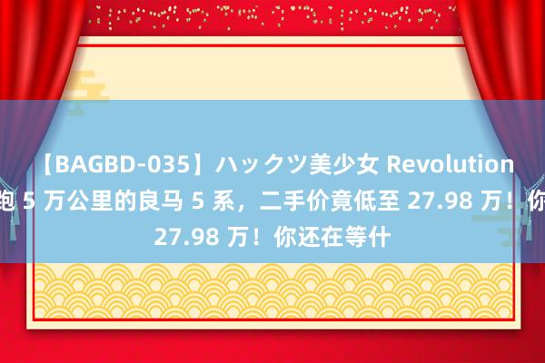 【BAGBD-035】ハックツ美少女 Revolution Rino 仅跑 5 万公里的良马 5 系，二手价竟低至 27.98 万！你还在等什