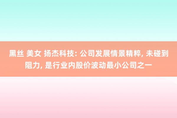 黑丝 美女 扬杰科技: 公司发展情景精粹, 未碰到阻力, 是行业内股价波动最小公司之一