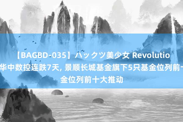 【BAGBD-035】ハックツ美少女 Revolution Rino 华中数控连跌7天, 景顺长城基金旗下5只基金位列前十大推动