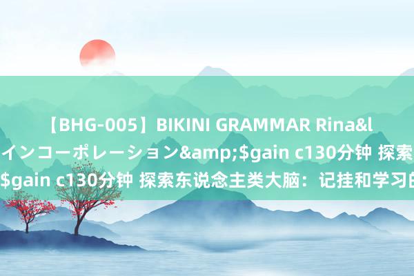 【BHG-005】BIKINI GRAMMAR Rina</a>2017-04-23ゲインコーポレーション&$gain c130分钟 探索东说念主类大脑：记挂和学习的玄机